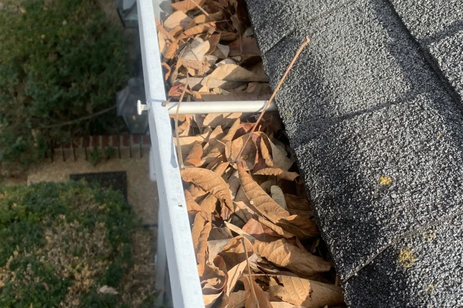 Gutter Cleaning Powder Springs